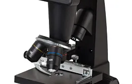 Бактерии под микроскопом: фото и особенности наблюдения