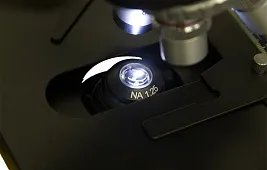 Что такое полевая диафрагма?