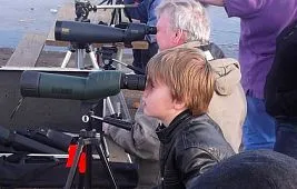 Сравнение популярных моделей зрительных труб: обзор рынка