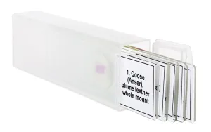 Набор микропрепаратов Levenhuk Discovery Prof DPS 5. «Птицы», изображение 5