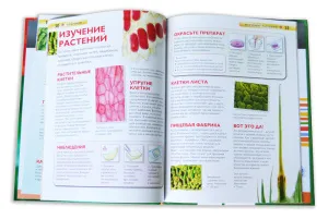 Микромир. Детская энциклопедия Levenhuk, изображение 3