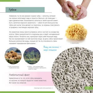 Книга знаний в 2 томах. «Космос. Микромир». Твердая обложка, изображение 11