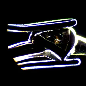 Микроскоп стереоскопический цифровой MAGUS Stereo D7T LCD PLUS, изображение 6