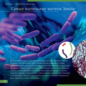 Книга знаний в 2 томах. «Космос. Микромир». Твердая обложка, изображение 9