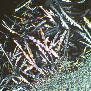 Устройство простой поляризации MAGUS SPD3, изображение 6