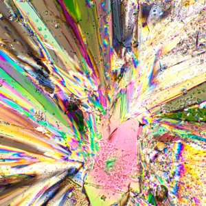 Устройство простой поляризации MAGUS SPD2, изображение 3