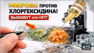 Микробы против хлоргексидина!